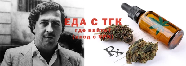 гашик Мегион