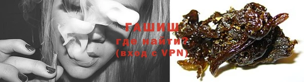 гашик Мегион