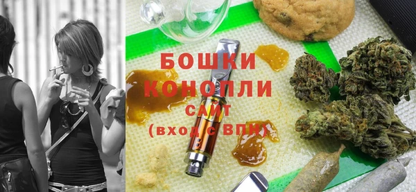 гашик Мегион