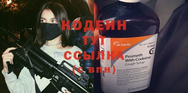 гашик Мегион