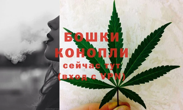 тгк Медвежьегорск