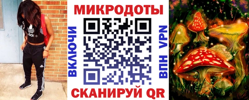 что такое наркотик  Приозерск  Псилоцибиновые грибы мицелий 